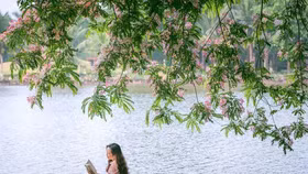 Ecopark - 'Nơi có gió' chữa lành cho người trưởng thành và thiên nhiên hạnh phúc cho trẻ nhỏ