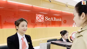SeABank muốn huy động thêm 5.000 tỷ đồng qua kênh trái phiếu