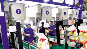 Gạo Việt Nam/Vietnam Rice được bảo hộ tại 22 quốc gia