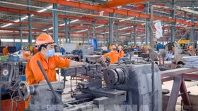 Phân công Thành viên Chính phủ làm việc với địa phương để đôn đốc, gỡ khó, thúc đẩy sản xuất kinh doanh