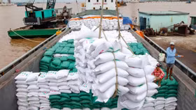 Xuất khẩu gạo của Việt Nam năm 2023 có thể đạt 7 triệu tấn