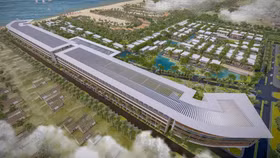 Bamboo Capital: Cổ phiếu BCG tăng trần 5 phiên là do cung cầu thị trường