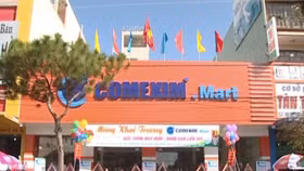 Comexim sẽ chào sàn UPCoM với giá 34.000 đồng/cp