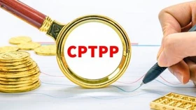 Hàn Quốc quyết định thời điểm nộp đơn gia nhập CPTPP