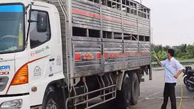 Hải Phòng “mở cửa” đón xe vận chuyển hàng hóa từ Hải Dương vào thành phố