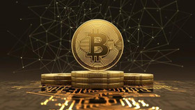 Giá Bitcoin ngày 25/8: Một số tiền ảo đã có dấu hiệu hồi phục