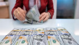 Thông tư 20/2022/TT-NHNN quy định 3 nguồn ngoại tệ được phép chuyển ra nước ngoài