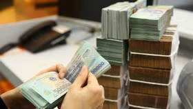 DNNVV đang "khát" hỗ trợ từ gới 350.000 tỷ đồng?