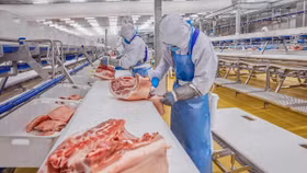 Ngành sản xuất thịt: Khó khăn nhất đã đi qua nhưng vẫn cần thận trọng