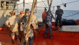 Bộ đội Biên phòng Kiên Giang bắt giữ hàng chục nghìn lít dầu DO không rõ nguồn gốc