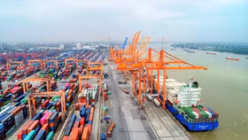 TP. HCM thu phí hạ tầng cảng biển từ 1/4