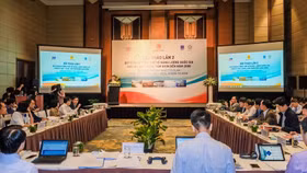 Phát triển năng lượng quốc gia phù hợp với kinh tế thị trường