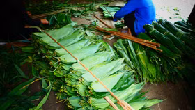 Thu "triệu đô" từ xuất khẩu những mặt hàng tưởng bỏ đi