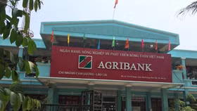 Hàng chục sổ tiết kiệm Agribank nghi bị làm giả
