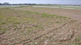 Giảm tiền thuê đất, thuê mặt nước năm 2022 để hỗ trợ doanh nghiệp