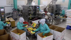 Đề xuất cho doanh nghiệp vay ưu đãi để trả lương công nhân với lãi suất 6%