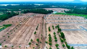 Đồng Nai chỉ đạo tiếp tục giám sát hoạt động phân lô, bán nền