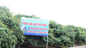 Việt nam có hơn 8.000 vùng trồng và cơ sở sản xuất được cấp mã số xuất khẩu