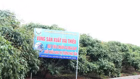 Việt nam có hơn 8.000 vùng trồng và cơ sở sản xuất được cấp mã số xuất khẩu