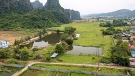 Quảng Ninh đề xuất thu hồi 432 dự án với tổng diện tích 12.000ha