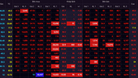 Call margin liên tục, chỉ số VN-Index thủng mốc 900 điểm