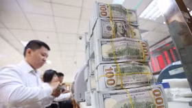 Giá USD tăng không ảnh hưởng nhiều đến nợ công và nghĩa vụ trả nợ của Chính phủ!