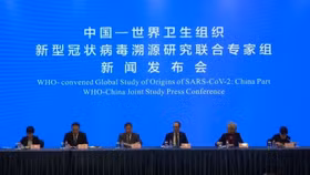 WHO: Covid-19 'rất có thể' có nguồn gốc từ động vật và lây lan sang người