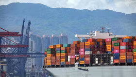 Đề xuất giảm 50% phí, lệ phí cho doanh nghiệp vận tải biển