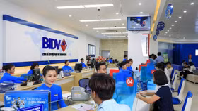 BIDV đấu giá lần thứ 4 khoản nợ của Cty Vertical Synergy Viet Nam