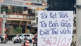 Một số giải pháp ngắn, trung và dài hạn giúp thị trường bất động sản thoát khỏi tình trạng "chết chìm"