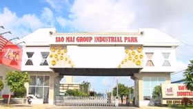 Tập đoàn Sao Mai sắp phát hành gần 78 triệu cổ phiếu trả cổ tức tỷ lệ 30%