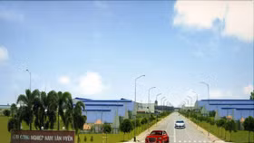 Nhận tin được giao thêm đất, cổ phiếu NTC tăng dựng đứng