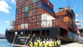 ZIM - Hãng tàu container lớn nhất Israel - tuyển dụng các vị trí việc làm hấp dẫn tại chi nhánh Việt Nam