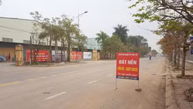 Phó Thủ tướng: Yêu cầu xử lý nghiêm việc lợi dụng thông tin để “thổi” giá đất