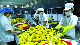Xuất khẩu rau quả, trái cây chững lại