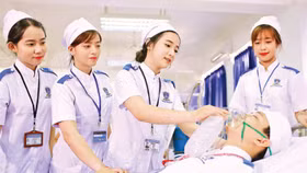 Bộ Y tế lên tiếng về việc một số trường dùng điểm văn xét tuyển y khoa