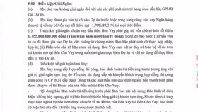 BOT cầu Bạch Đằng vỡ phương án tài chính dù mới hoạt động