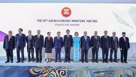 Việt Nam đề xuất 13 ưu tiên cho Hội nghị Bộ trưởng Kinh tế ASEAN hẹp (AEM)