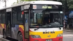 Dừng 5 tuyến buýt trợ giá, doanh nghiệp vận tải thông báo bất ngờ đến người lao động