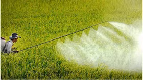 Cảnh báo doanh nghiệp về việc Na Uy sẽ giám sát chặt một số mặt hàng nhập khẩu