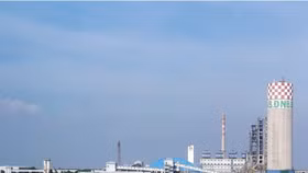 Đạm Ninh Bình có khả năng mất thanh khoản