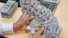 Tỷ giá USD ngày 16/11: Đồng USD tiếp tục lao dốc sau phiên tăng hiếm hoi vào hôm qua