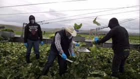 Hoa Kỳ đề nghị tăng visa để củng cố thoả thuận tị nạn với Guatemala