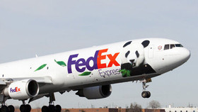 “Vị khách” có 1-0-2 trong chuyến bay FedEx Panda Express 2019