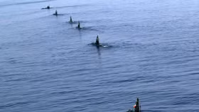 Giải pháp triệt để cho sự “tắc nghẽn” tại eo biển Hormuz