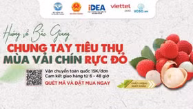 Cơ hội phân phối qua thương mại điện tử cho sản phẩm nông sản và các sản phẩm OCOP tại Đồng Tháp, Sóc Trăng