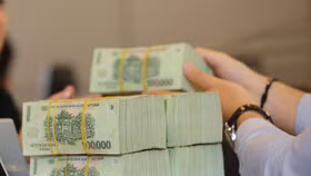 Hà Nội: Công khai danh sách 208 đơn vị tổng nợ thuế gần 300 tỷ đồng