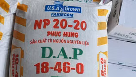 QLTT Kiên Giang chuyển hồ sơ một vụ buôn bán phân bón giả sang Công an