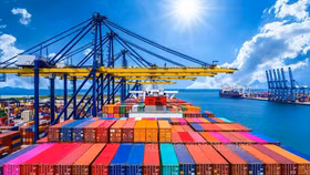 Năm 2021, kim ngạch xuất khẩu có thể đạt 313 tỷ USD