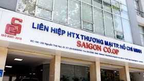 Không thừa nhận số vốn góp hơn 3.500 tỷ đồng của Saigon Co.op